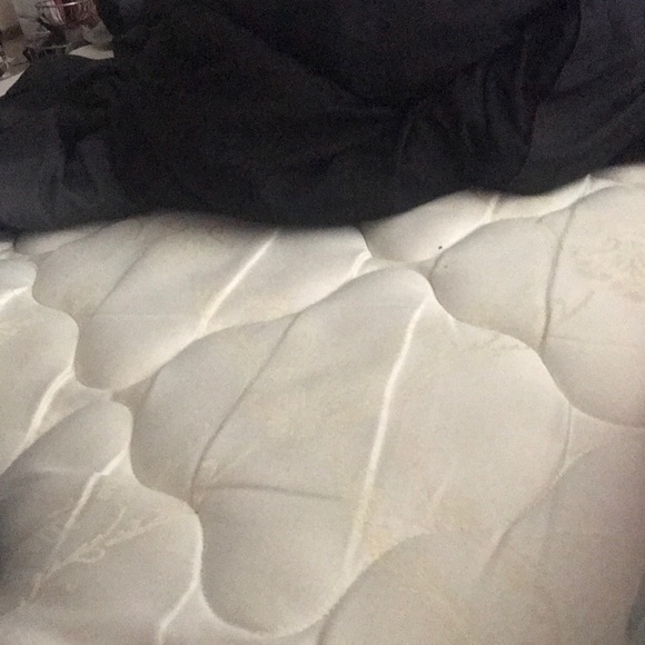 Meet your Posher, Walbert - Picture 1 of 1